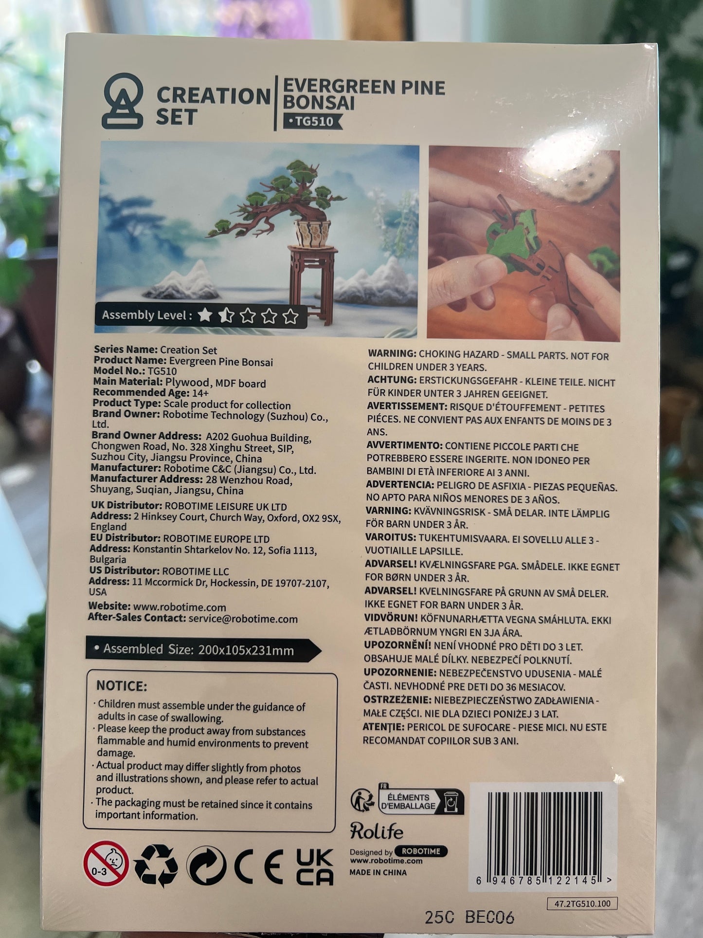 Rolife - 3D Puzzle - Evergreen Pine Bonsai