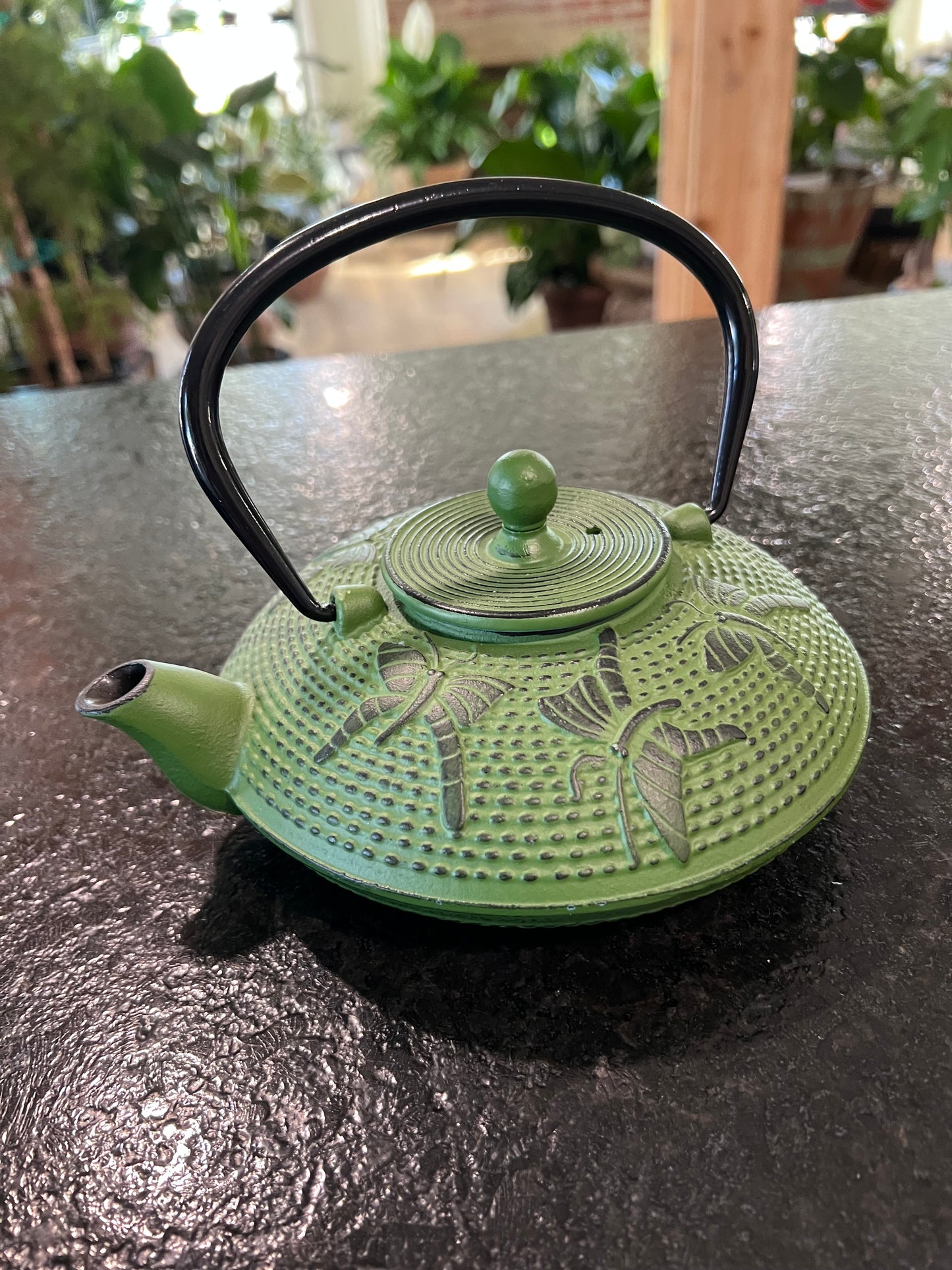 Cast Iron Teapot, Green or Orange