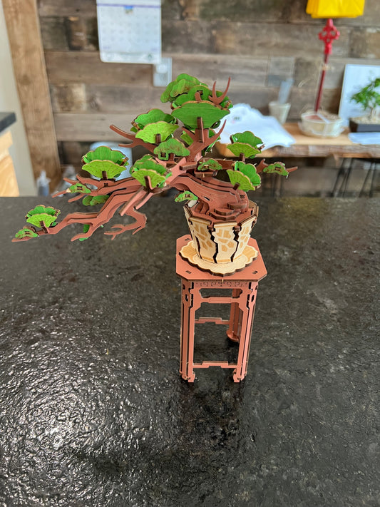 Rolife - 3D Puzzle - Evergreen Pine Bonsai