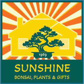 Sunshine Bonsai, Plants & Gifts
